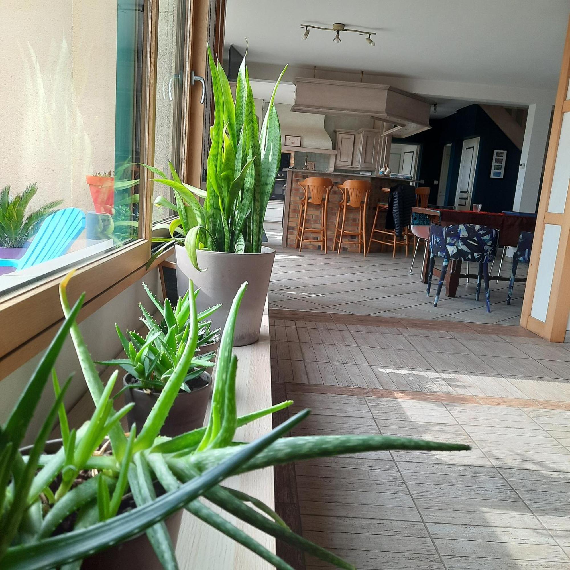 Magnifique Villa Avec Piscine Interieure Saint-Pois Bagian luar foto